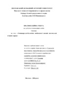 Ескіз