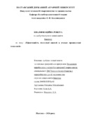 Ескіз